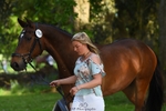 154-GELUK_G-Molly_Adams-WEDTrotUp+DR portfolio