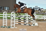 Cls 13 Foxhunter portfolio