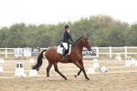SBM_003872