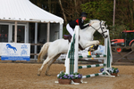 Class 14: Pony Discovery/90cm open portfolio