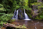 Fairy Glen, Rosemarkie - 0136