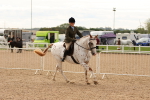 SBM_18223