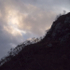 HILLSIDE - LOCH MAREE