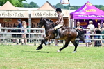 SBM_15414