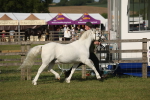 SBM_10342