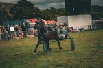 DSCF7431