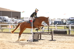 SBM_002205