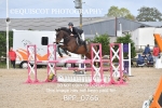 BPP_0766