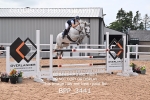 BPP_3441
