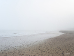 Solitude (4751)