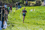 The Finish-457