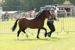 SBM_02105