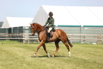SBM_14935