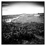 Fence