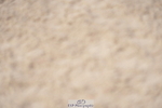 230924A-142736-06450