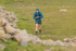 Ennerdale-1097