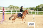 SBM_006607