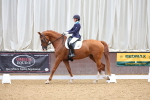 SBM_002043
