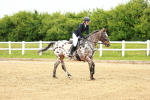 SBM_000684