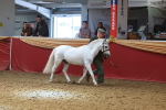 SBM_16577