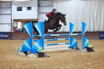 Class 5 - Senior Foxhunter - 1.20m portfolio
