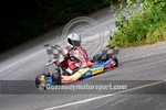 Hill Kart_2010-28