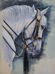 Trumpeter, Houshold Cavalry Horse