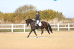 SBM_009531