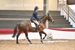 BPP_8521