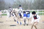 SBM_003994