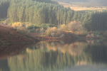 Sulby Reflections