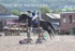 BPP_1235