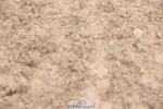240630A-191421-16600