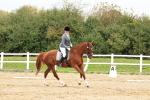 SBM_001348