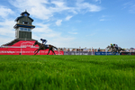130826-Race 5-Wardlaw-5356