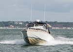 110829 EAGLE WING IMG_2384