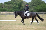 WJ6_8931