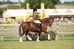 SBM_09538