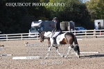 BPP_8869