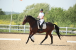 SBM_009653