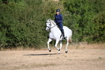 WJ6_6816