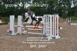 BPP_8987
