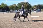 BPP_9104