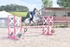 BPP_9523