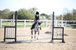 SBM_000499