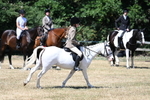 WJ7_3660