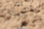 240706A-164859-04495