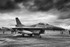 Fighting Falcon