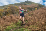 Stybarrow Dodd-660