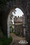 Gwrych Castle 12